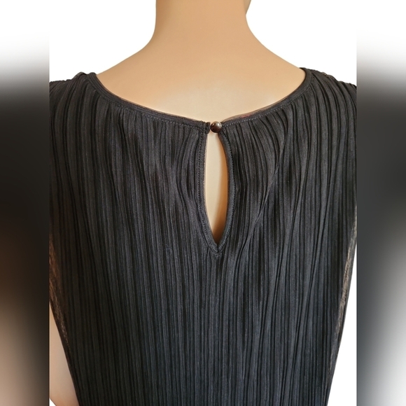 Ruby Ribbon Pleated Mesh Dress - Picture 6 of 9